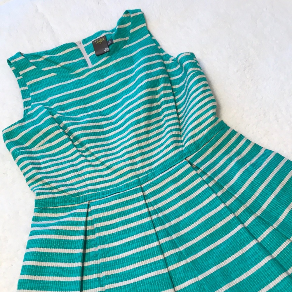 Taylor | Fit & Flare Pleated Striped Dress